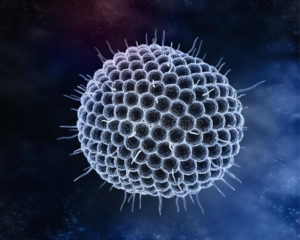 Varicella zoster virus g