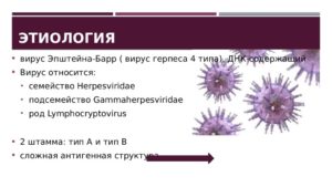 Вирус эпштейна барра при беременности