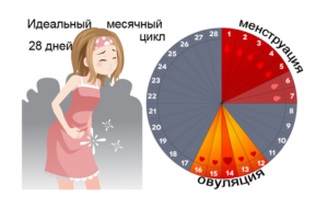 Месячные долго начинаются