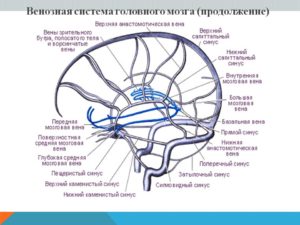 Венозная дисциркуляция в системе глубоких вен головного мозга