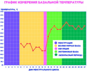 Вирахувати початок овуляції