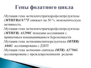 Мутации в гене MTHFR C677-T