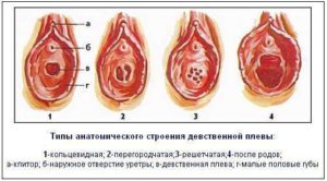 Возможна ли беременность 16 летней девственницы