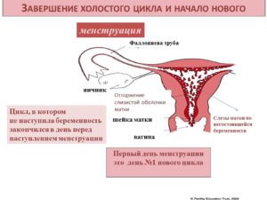 Возможность беременности, если идут месячные