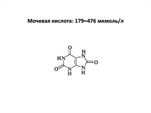 Мочевая кислота