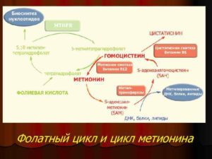 Дефицит фолатного цикла