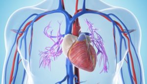 Влияние хронического тонзиллита на сердце