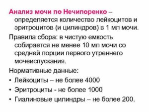 Эритроциты 3000 в моче по Нечипоренко