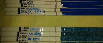 До предпалагаемой задержки 3 дня, поясница болит и живот тянет