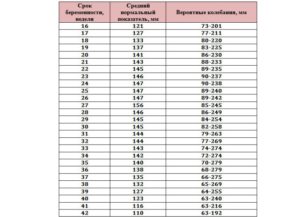 УЗИ 34 недели, умеренное многоводие