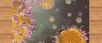 ЭКО и гепатит С