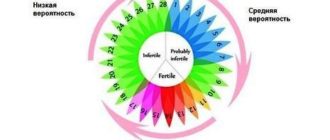 Вероятность беременности в последний день цикла