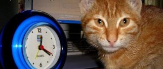 Вовремя не приняла