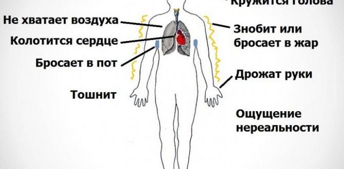 Всд, панические атаки, головокружение
