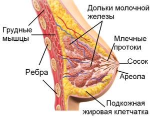 Добавочная долька молочной железы, период ГВ