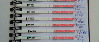 Может ли наступить беременность на 11 день цикла