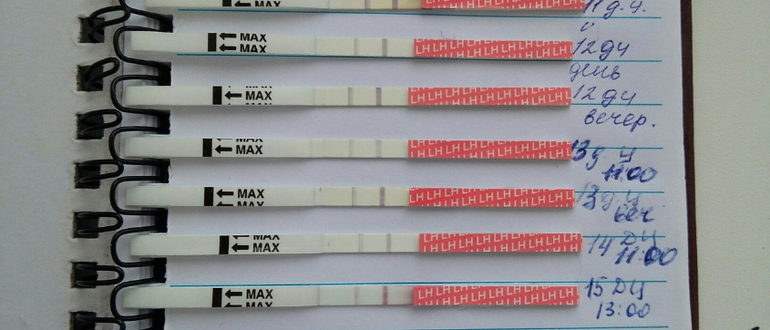 Может ли наступить беременность на 11 день цикла