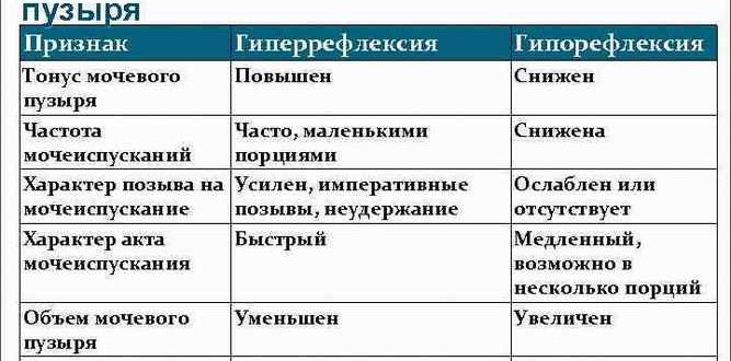 Мочевой пузырь по гипотоническому типу