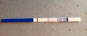 Две полоски одна слабая