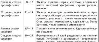 Возможно ли наличие беременности если эндометрий соответствует 1 фазе