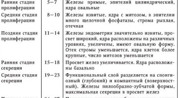 Возможно ли наличие беременности если эндометрий соответствует 1 фазе