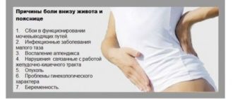 Может ли тянуть поясницу от Эутерокса