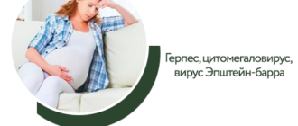 Вирус эпштейна барра при беременности