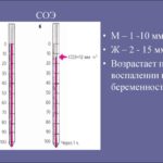 Возможно ли забеременеть при таких показателях узи