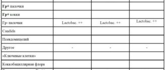 Что значат Граммоположительные мелкие палочки в ирезультате анализа