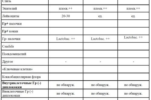 Что значат Граммоположительные мелкие палочки в ирезультате анализа