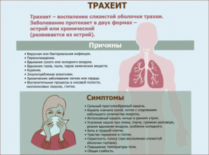 Мокрота при вдохе холодного воздуха