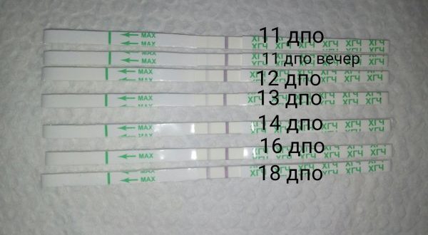 На какой день лучше сдавать хгч?