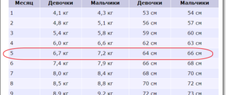 Вес ребенка в 10 месяцев