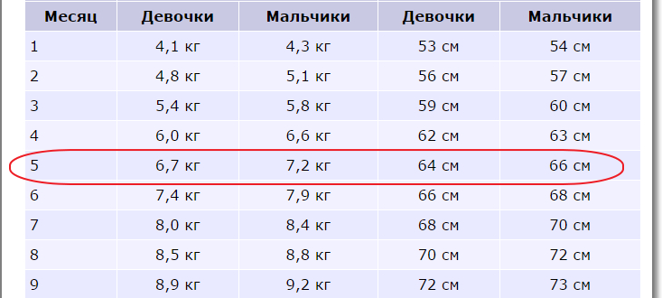 Вес ребенка в 10 месяцев