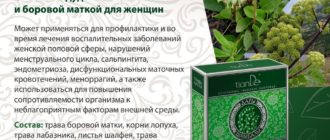 Можно ли одновременно принимать таблетки и чай с боровой маткой?