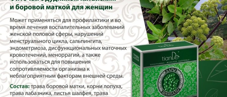 Можно ли одновременно принимать таблетки и чай с боровой маткой?