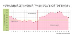 Вирахувати початок овуляції