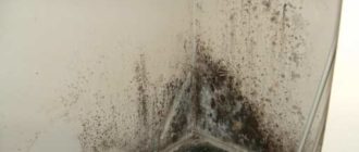 Черная плесень в глаза