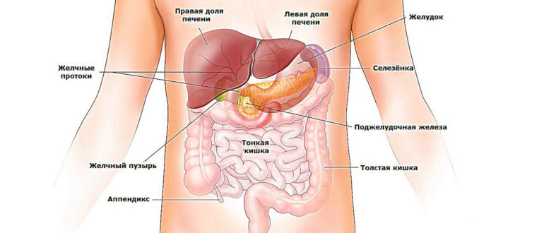 Экзема на руках, что делать? Болит желудок, печень и селезенка