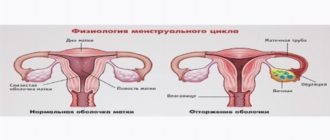 Долго идут месячные и болит грудь