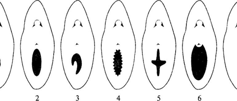 Дефлорация без крови