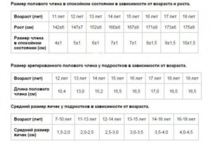 Длина члена подростка