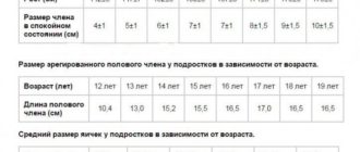 Длина члена подростка