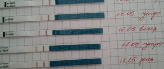 Месячные после родов. Задержка вторых месячных