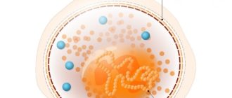 Могла ли передаться уреаплазма ребенку 5 лет