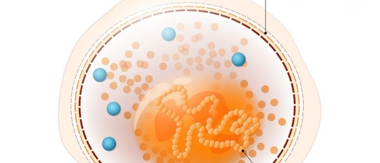 Могла ли передаться уреаплазма ребенку 5 лет