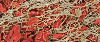 Что такое фибрин?