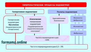 Можно ли забеременеть с диагнозом гиперплазия эндометрия?