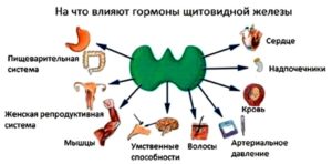 Влияет ли ДИПРОСПАН на гормоны щитовидной железы