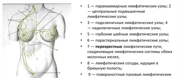 Диагноз С77 Mts в подмышечные узлы слева без ВПО. Гр 2?